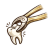 Deciduous Tooth Extraction